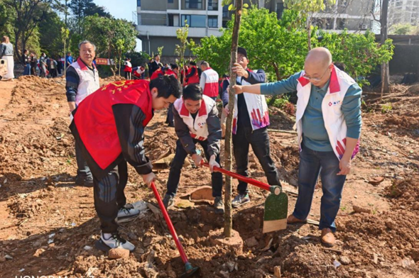 共筑绿美生态，注协在行动——广东省多地注协开展植树共建活动